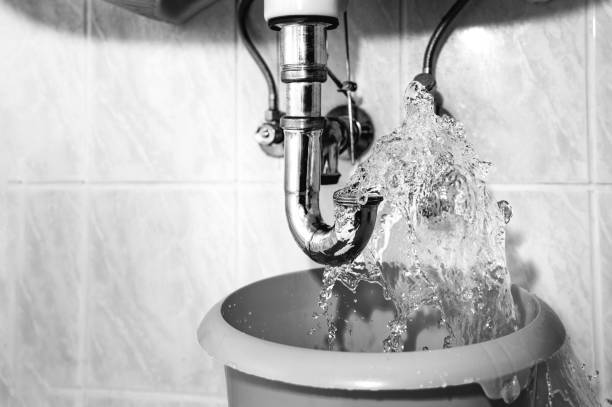 Expert Plumbers in St. George Ready to Assist You